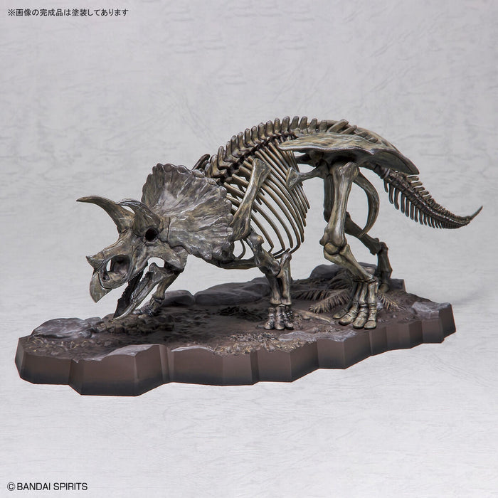 Imaginary Skeleton Triceratops 1/32