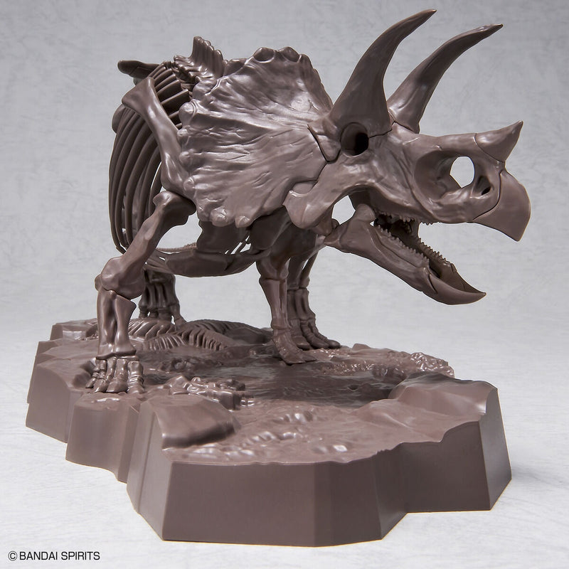 Imaginary Skeleton Triceratops 1/32