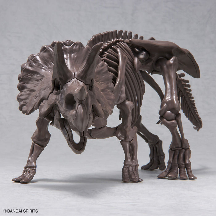 Imaginary Skeleton Triceratops 1/32