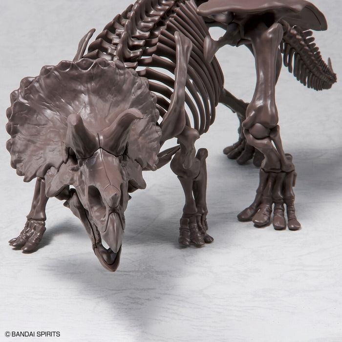 Imaginary Skeleton Triceratops 1/32