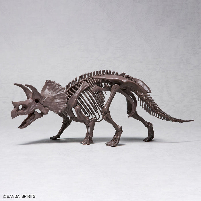 Imaginary Skeleton Triceratops 1/32