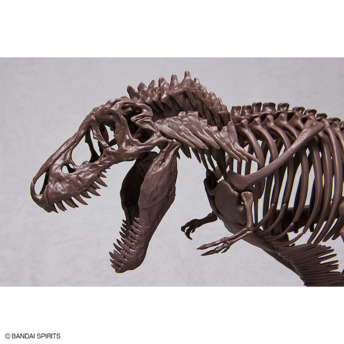 Imaginary Skeleton Tyrannosaurus T-Rex 1/32