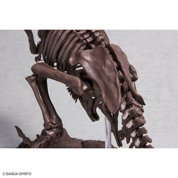 Imaginary Skeleton Tyrannosaurus T-Rex 1/32