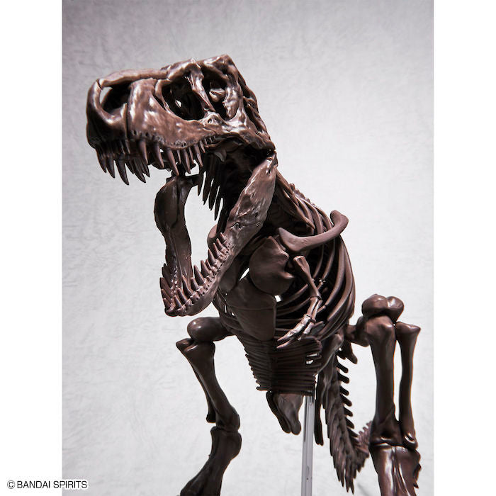 Imaginary Skeleton Tyrannosaurus T-Rex 1/32