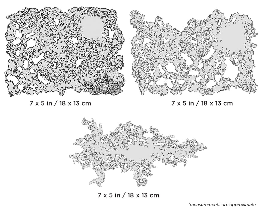 Iwata Texture FX Mini Series Template