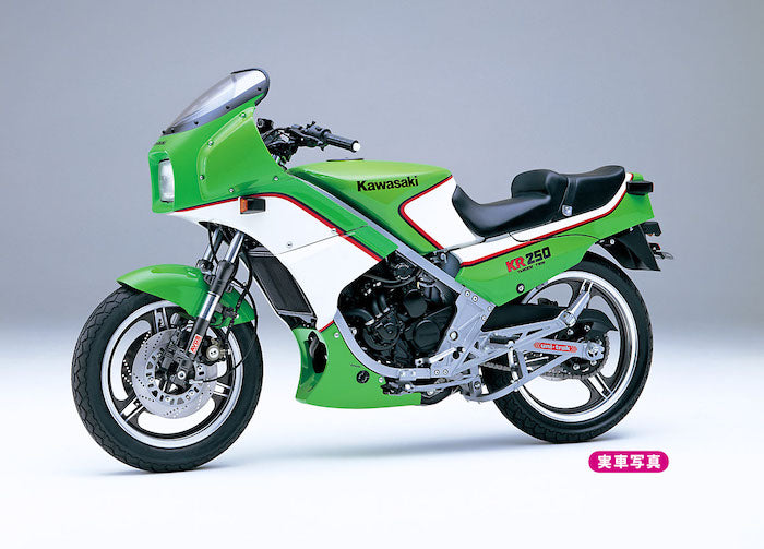 Kawasaki KR250 (KR250A) 1984 1/12