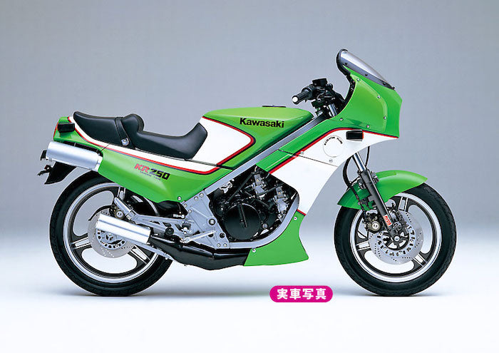 Kawasaki KR250 (KR250A) 1984 1/12