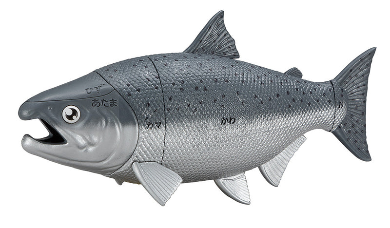 King Salmon Puzzle
