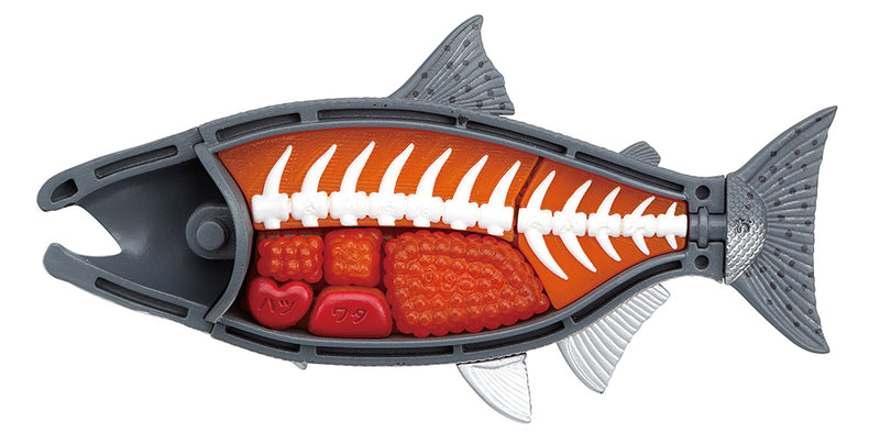 King Salmon Puzzle
