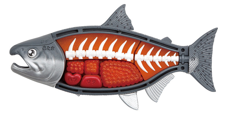 King Salmon Puzzle