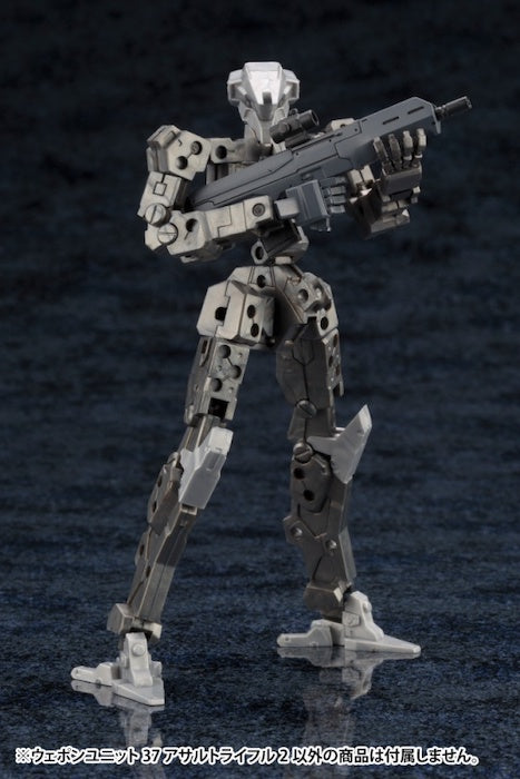 M.S.G #37 Assault Rifle #2 MW37