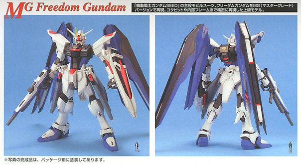 MG Freedom Gundam 1/100