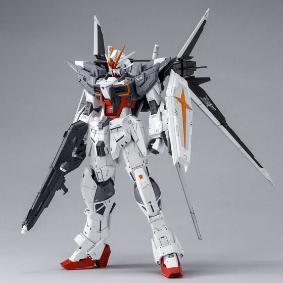 MG Gundam Ex Impulse 1/100