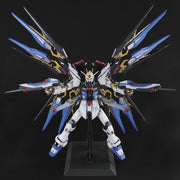 PG Strike Freedom Gundam 1/60