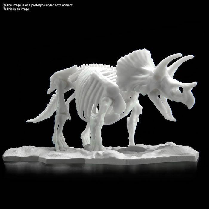 Dinosaur Model Kit Limex Skeleton Triceratops