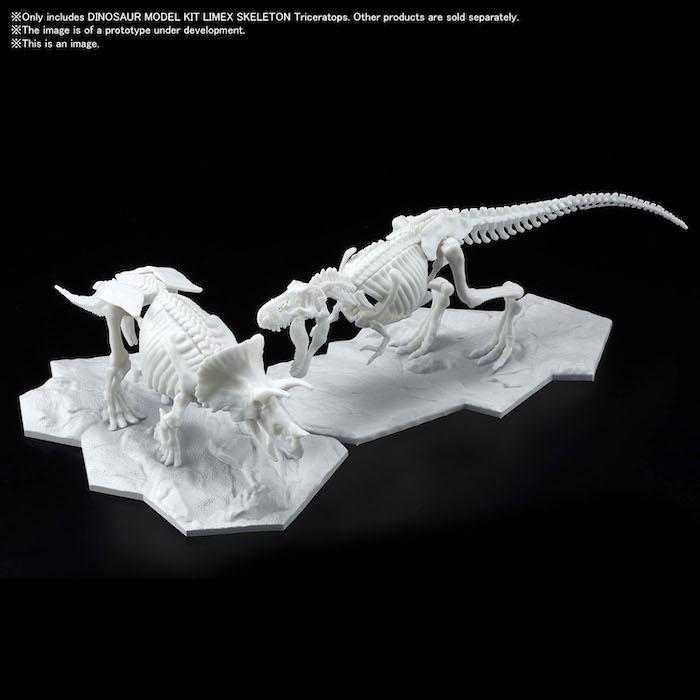 Dinosaur Model Kit Limex Skeleton Triceratops