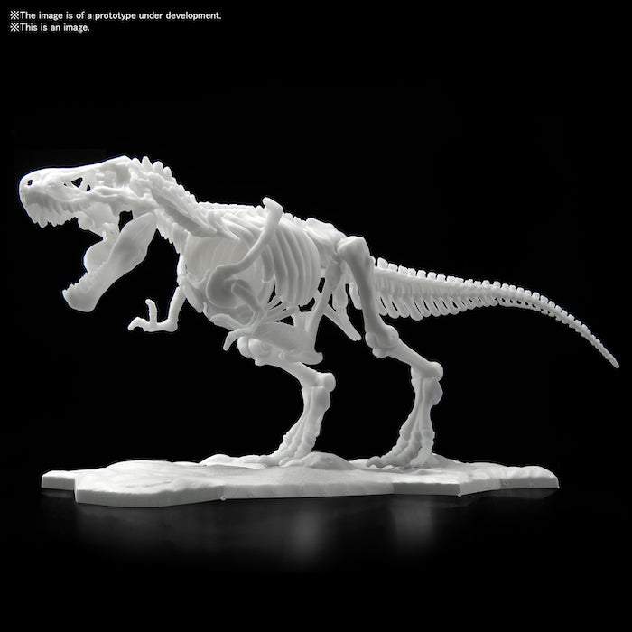 [Pre-Order][ETA Dec] Dinosaur Model Kit Limex Skeleton Tyrannosaurus