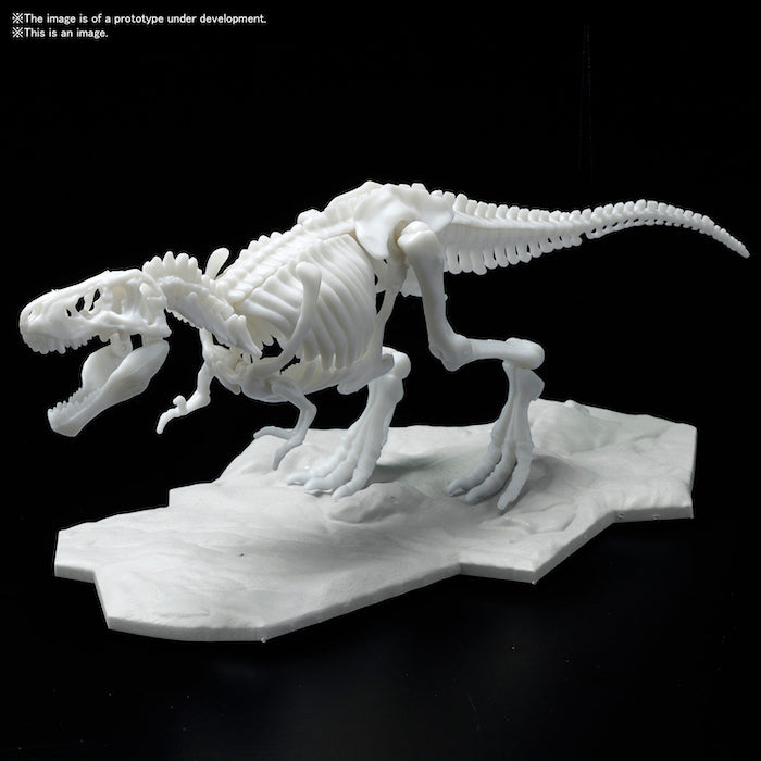 [Pre-Order][ETA Dec] Dinosaur Model Kit Limex Skeleton Tyrannosaurus