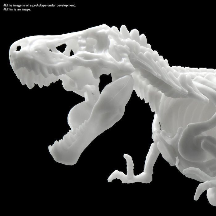 [Pre-Order][ETA Dec] Dinosaur Model Kit Limex Skeleton Tyrannosaurus