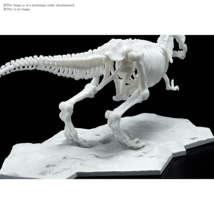 [Pre-Order][ETA Dec] Dinosaur Model Kit Limex Skeleton Tyrannosaurus