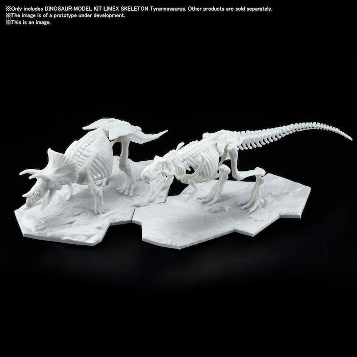 [Pre-Order][ETA Dec] Dinosaur Model Kit Limex Skeleton Tyrannosaurus