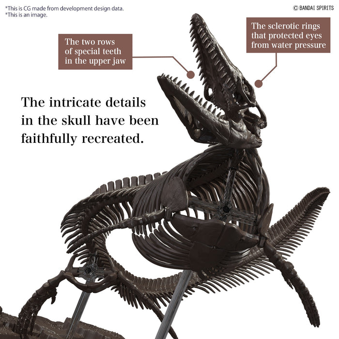 Imaginary Skeleton Mosasaurus 1/32