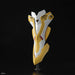 RG Evangelion Unit-03 & The Enchanted Shield of Virtue Set 1/144