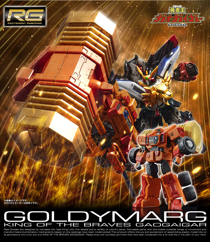 RG GoldyMarg 1/144 POX