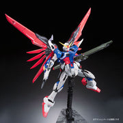 RG #11 Destiny Gundam