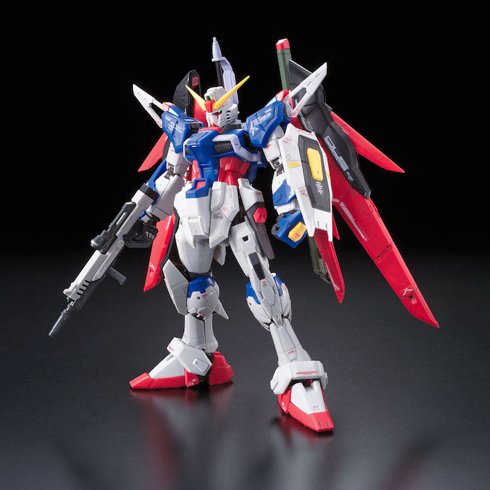 RG 11 Destiny Gundam 1/144 — Panda Hobby