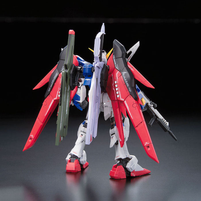 RG #11 Destiny Gundam