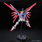 RG #11 Destiny Gundam