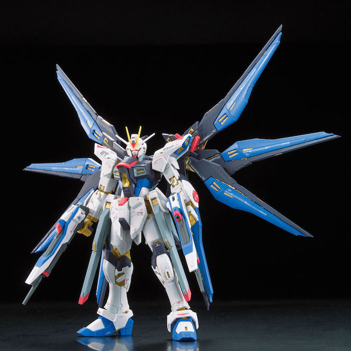 RG #14 Strike Freedom Gundam 1/144