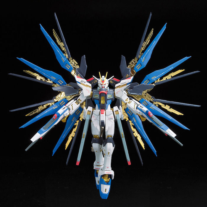 RG #14 Strike Freedom Gundam 1/144