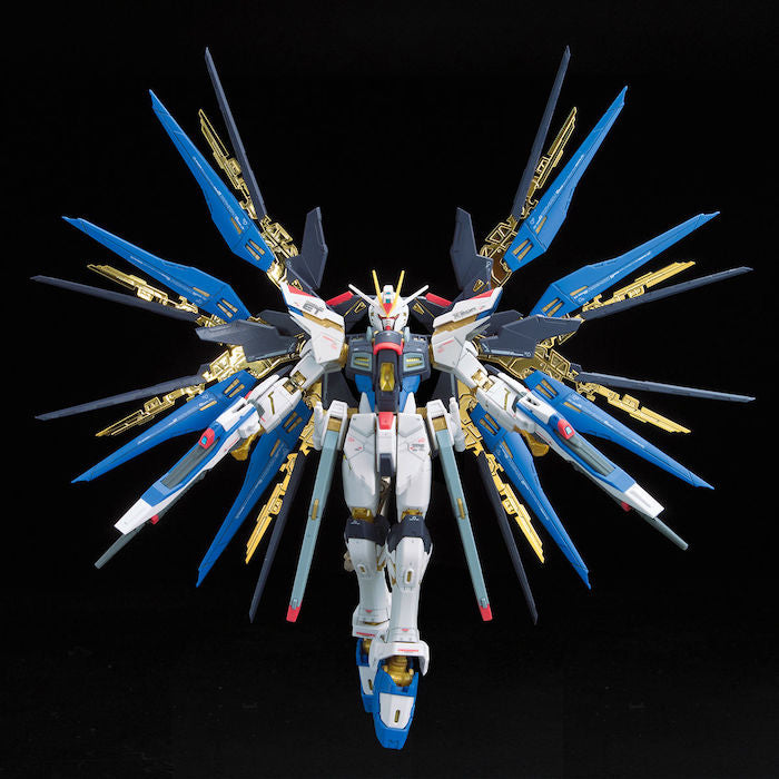 RG #14 Strike Freedom Gundam 1/144