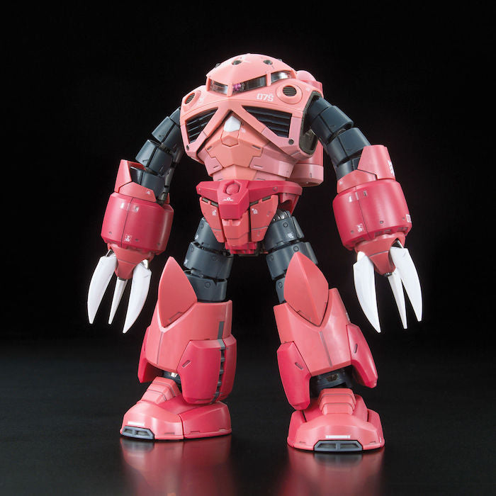 RG #16 Zgok Char Custom MSM-07S 1/144