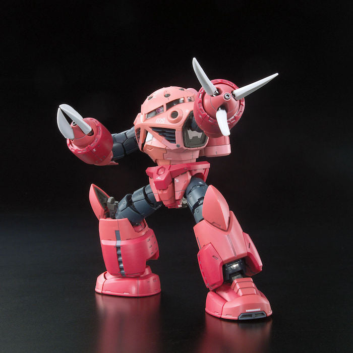 RG #16 Zgok Char Custom MSM-07S 1/144