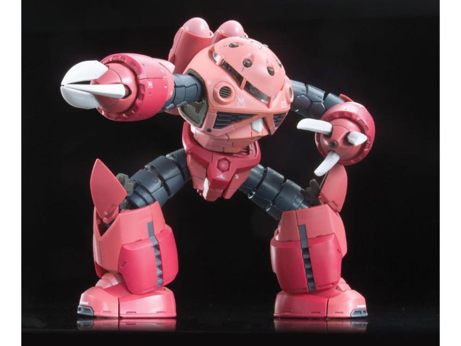 RG #16 Zgok Char Custom MSM-07S 1/144