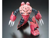 RG #16 Zgok Char Custom MSM-07S 1/144