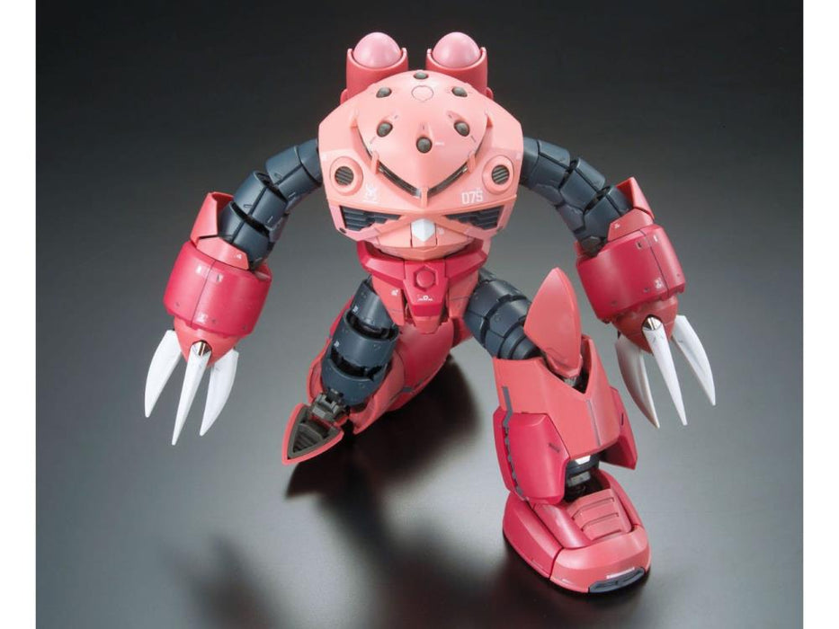 RG #16 Zgok Char Custom MSM-07S 1/144