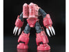 RG #16 Zgok Char Custom MSM-07S 1/144