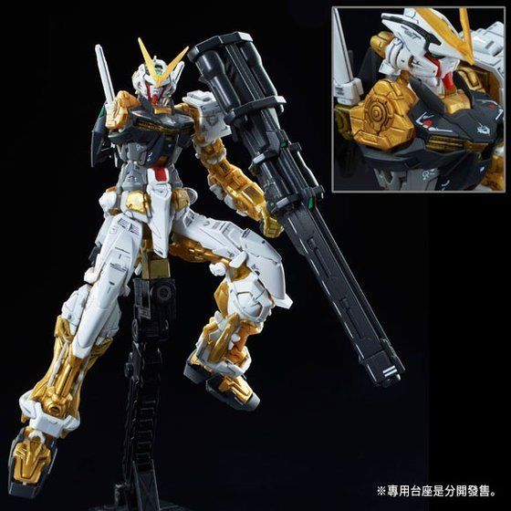 RG Gundam Astray Gold Frame 1/144