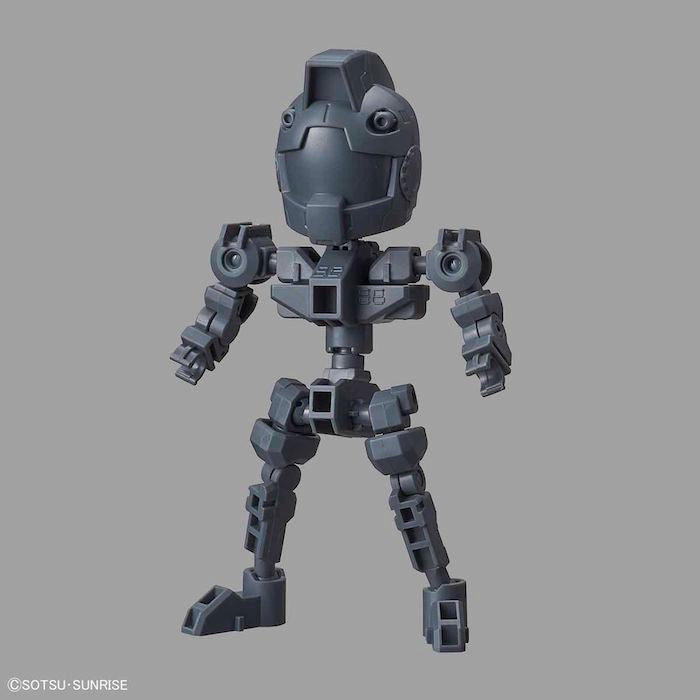 SDCS Frame Gray