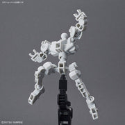 SDCS Frame White