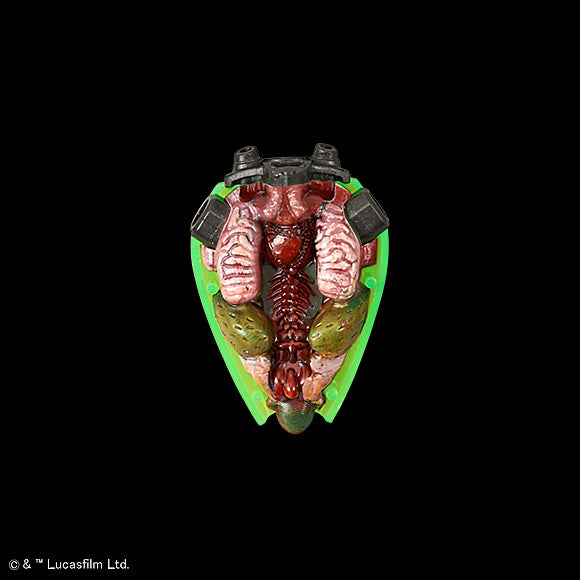 SW - General Grievous 1/12