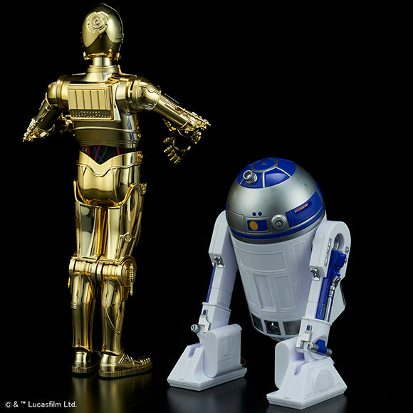 SW - C-3PO & R2-D2 1/12